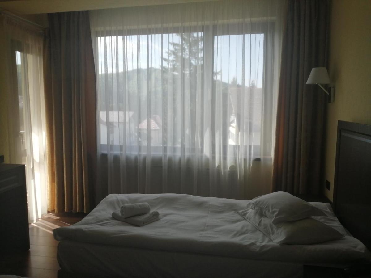 Hotel Piemonte Predeal Extérieur photo
